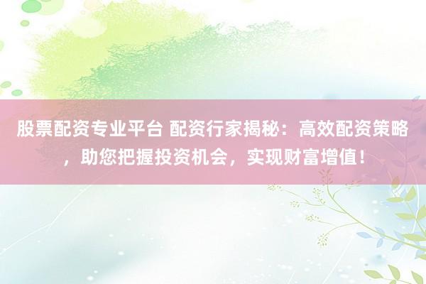 股票配资专业平台 配资行家揭秘：高效配资策略，助您把握投资机会，实现财富增值！