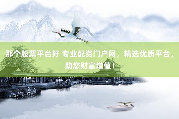 那个股票平台好 专业配资门户网，精选优质平台，助您财富增值！