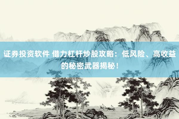 证券投资软件 借力杠杆炒股攻略：低风险、高收益的秘密武器揭秘！