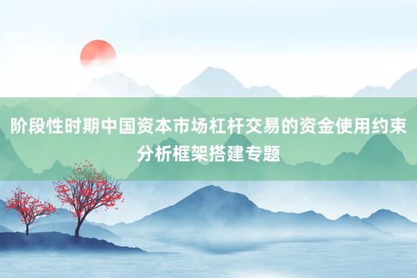 阶段性时期中国资本市场杠杆交易的资金使用约束分析框架搭建专题