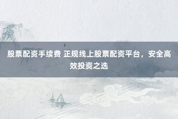 股票配资手续费 正规线上股票配资平台，安全高效投资之选