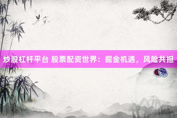 炒股杠杆平台 股票配资世界：掘金机遇，风险共担