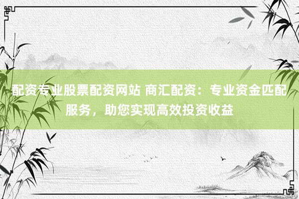配资专业股票配资网站 商汇配资：专业资金匹配服务，助您实现高效投资收益